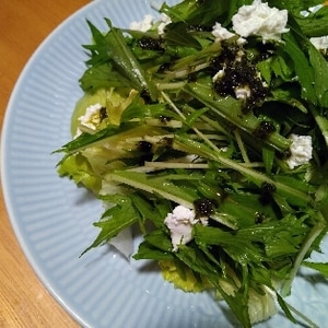 お茶漬けの素と塩昆布で　水菜サラダ